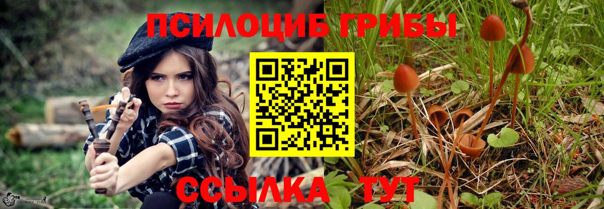 Галлюциногенные грибы мухоморы Светлоград