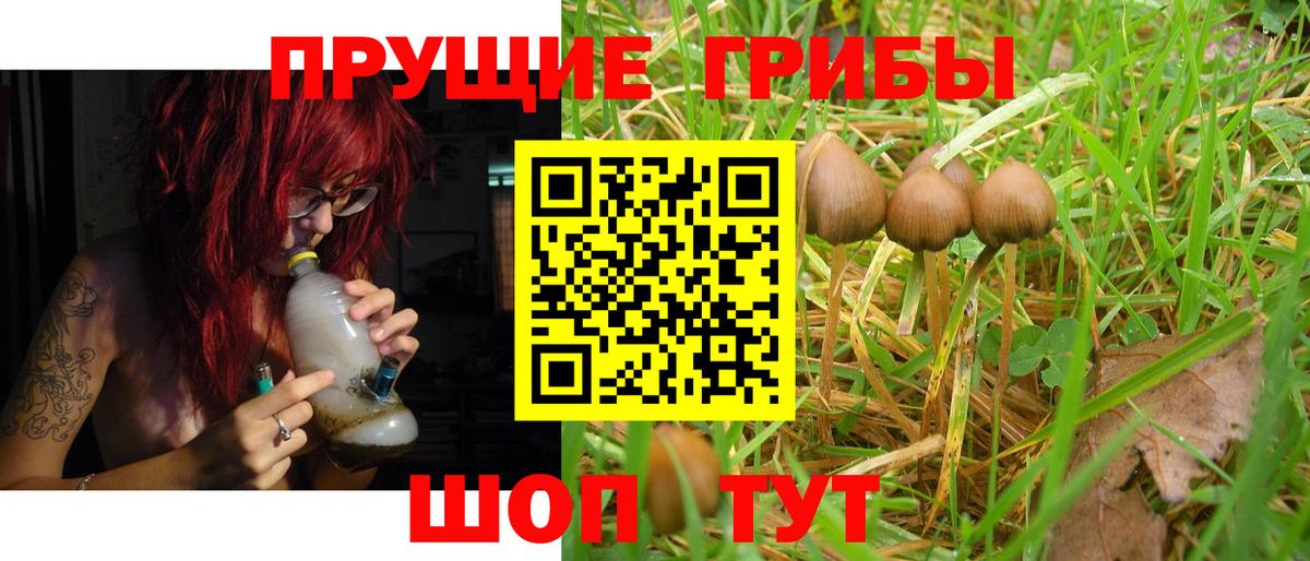 Светлоград  Галлюциногенные грибы GOLDEN TEACHER  Вход с VPN 